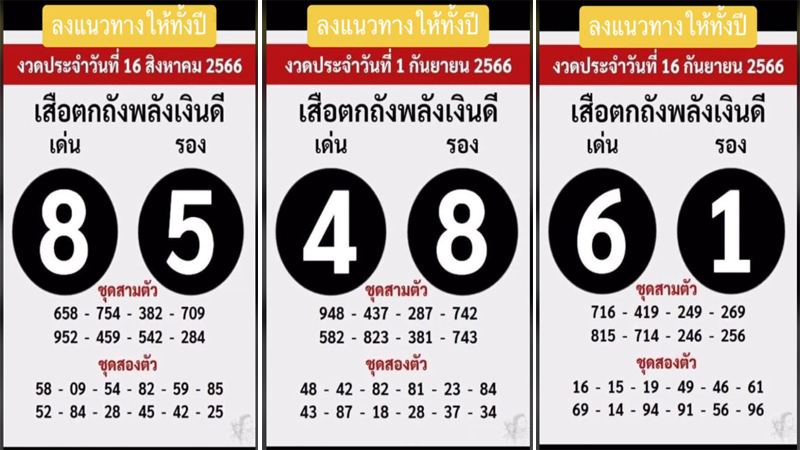  เสือตกถังพลังเงินดี65