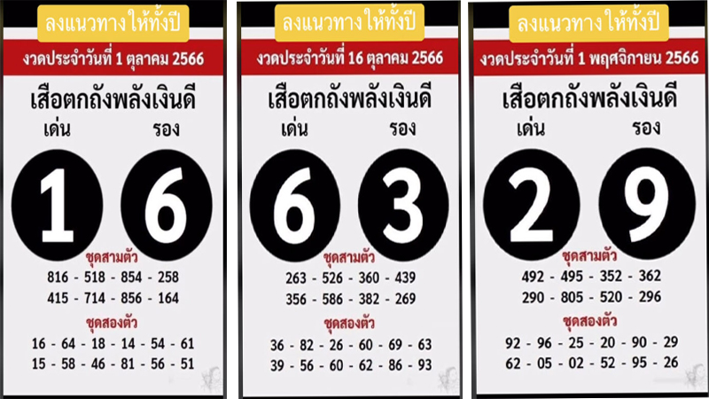  เสือตกถัง พลังเงินดี 16 11 65