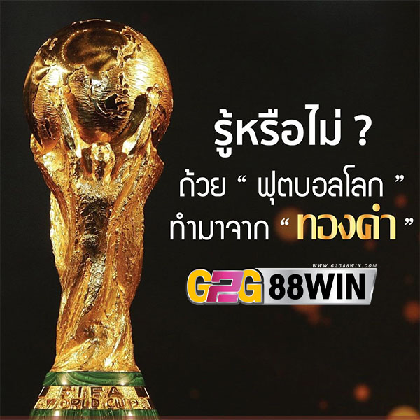 ถ้วยบอลโลกของจริง-"The real world cup"