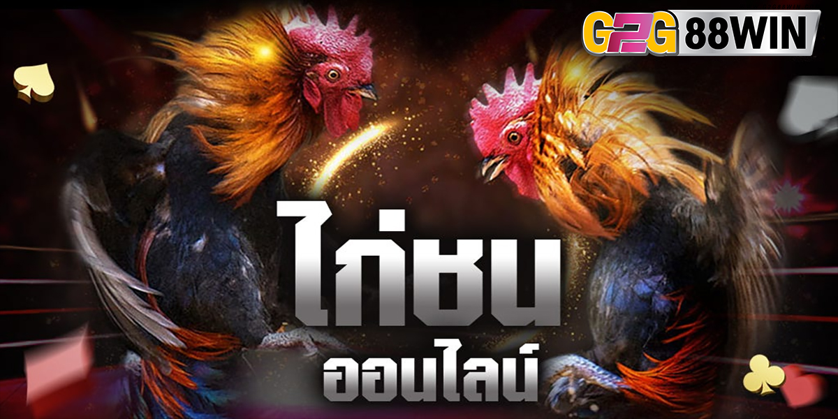 เกมไก่ชน -"cockfighting game"